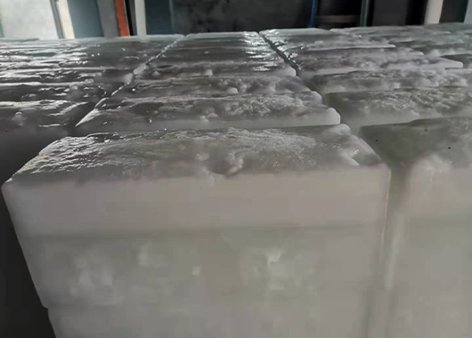 莆田10噸直冷式塊冰機案例